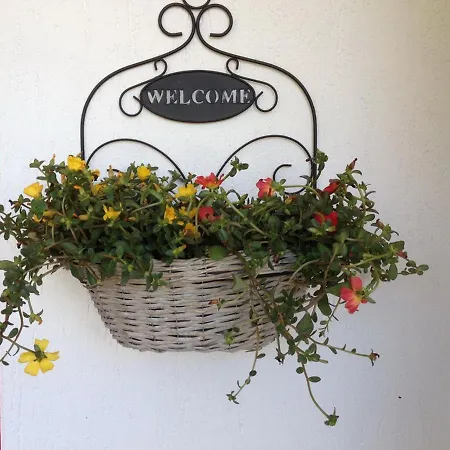 Da 4 Fino A 5 Persone Giardino Daire Capoliveri (Isola d'Elba)